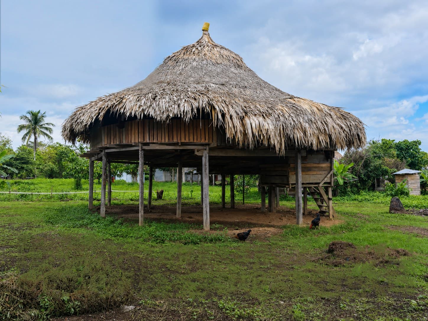 A Wounaan thatched-roof home on stilts in Sinai, Darien Province, Panama