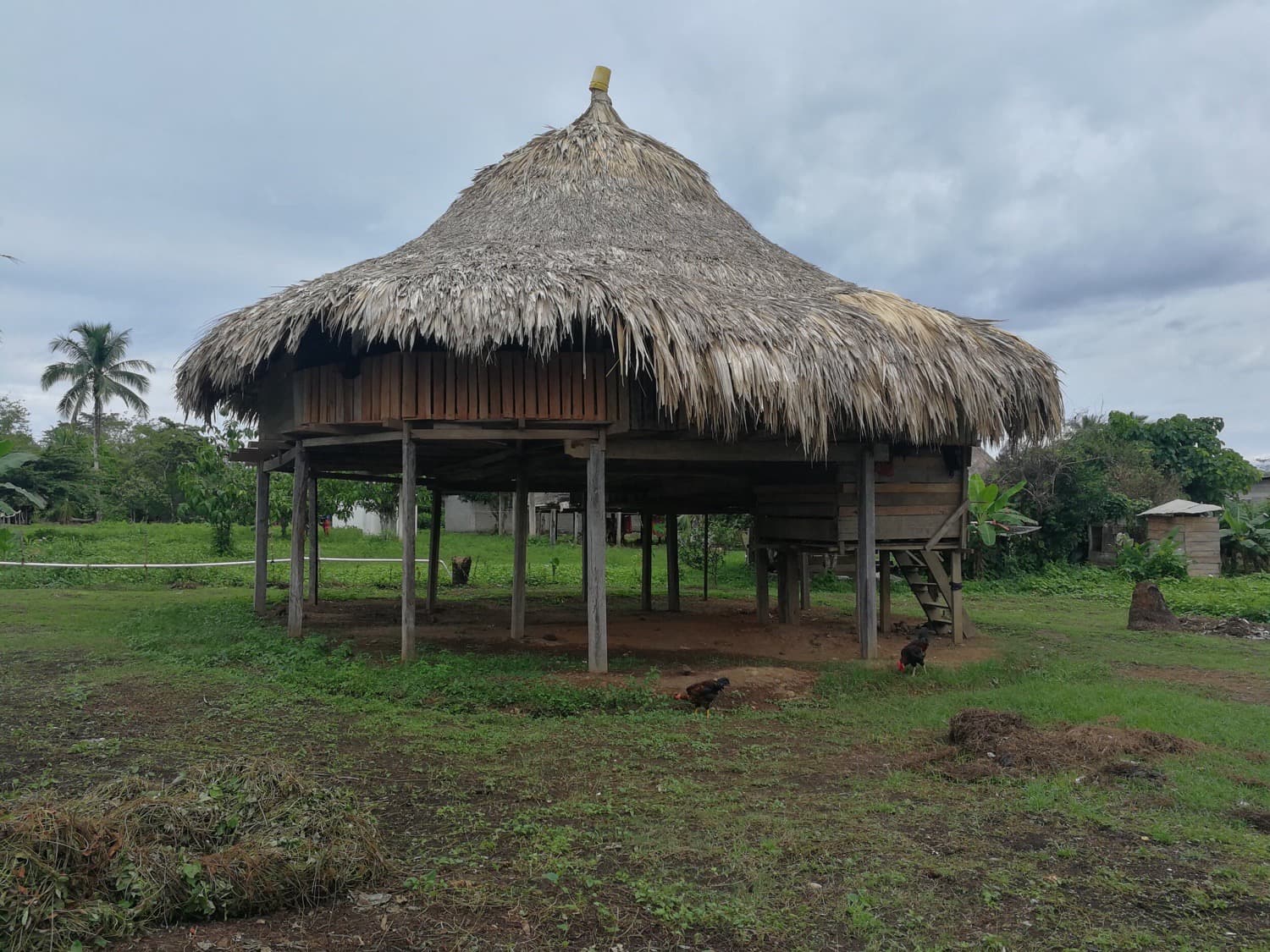 Rainforest village in the Darien, Panama